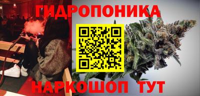 бошки Будённовск