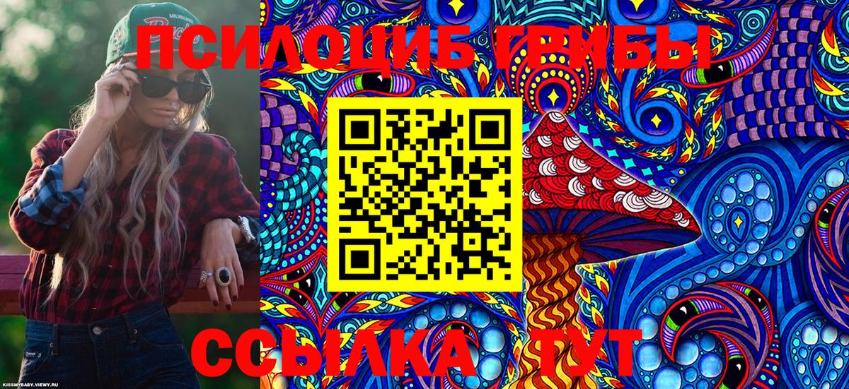Псилоцибиновые грибы GOLDEN TEACHER Новокузнецк